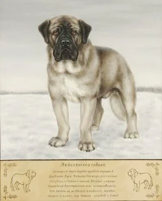 меделян порода собак куприн. собака меделянской породы. порода собаки меделян сапсан. порода собаки меделян сапсан. порода собаки меделян сапсан.
