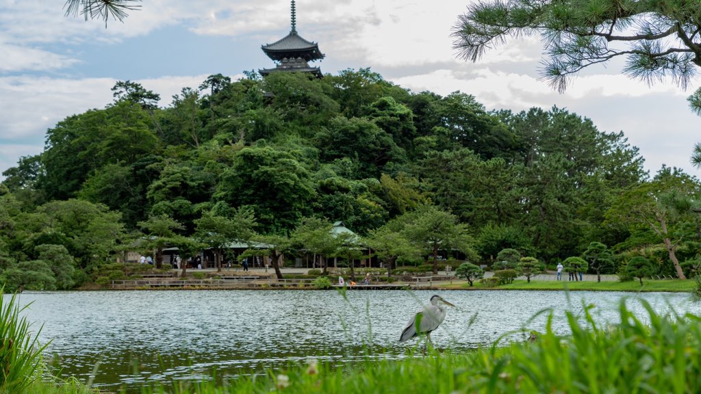 JnlPueJdj3VVnNn's tweet photo. 広角レンズを買ってしまった...
sp15-30f2.8g2

#三渓園 #三重塔 #横浜
#Tamron #タムロン
#キリトリセカイ
#カメラ好きな人と繋がりたい
#写真好きな人と繋がりたい 
#canon_photos #canonphotography 
#canon #6Dmk2 #6DmkII #6d2 #6dII https://t.co/3LRBtk5Hh1