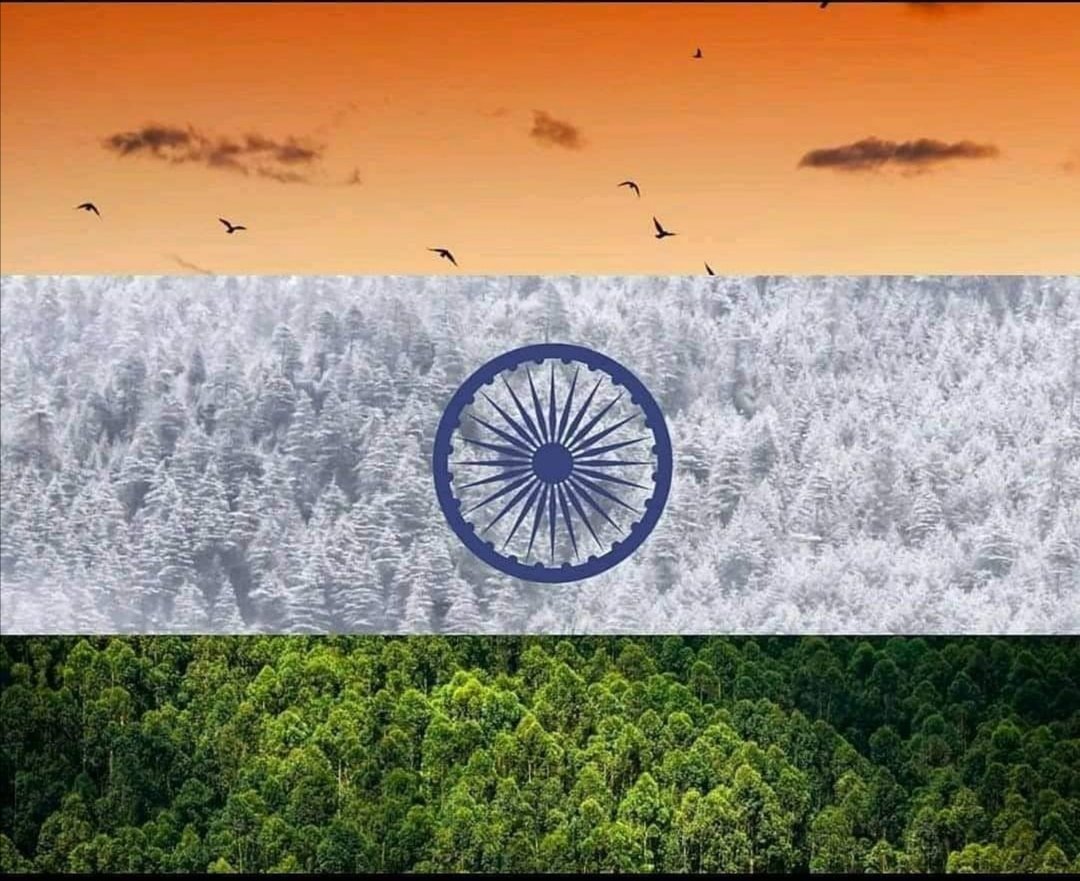 Parshwa018's tweet photo. Happy Independence day. 🇮🇳🇮🇳🇮🇳. Proud to be an INDIAN ❤️❤️❤️.
JAI HIND. https://t.co/PosFmWXTfY