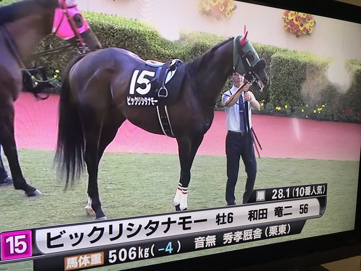 ビックリシタナモー ট ইট র অন সন ধ ন ট ইট র