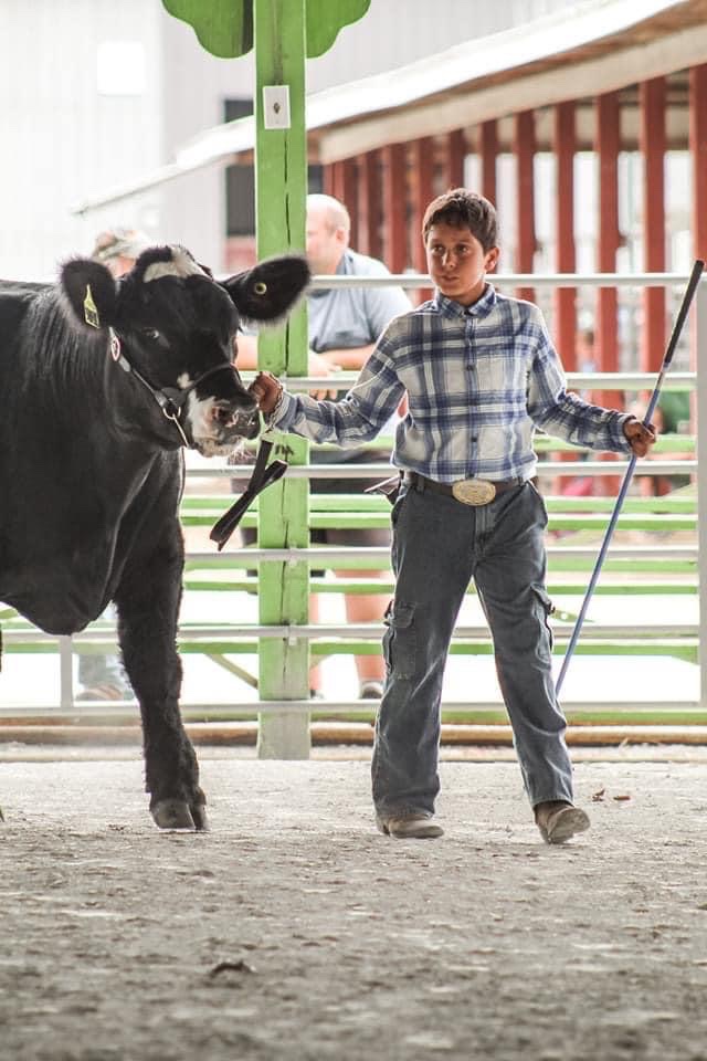 _MzBri29's tweet photo. Mason doing what he loves ! #marshallcounty #pigs #beef https://t.co/n8vsn52hr3
