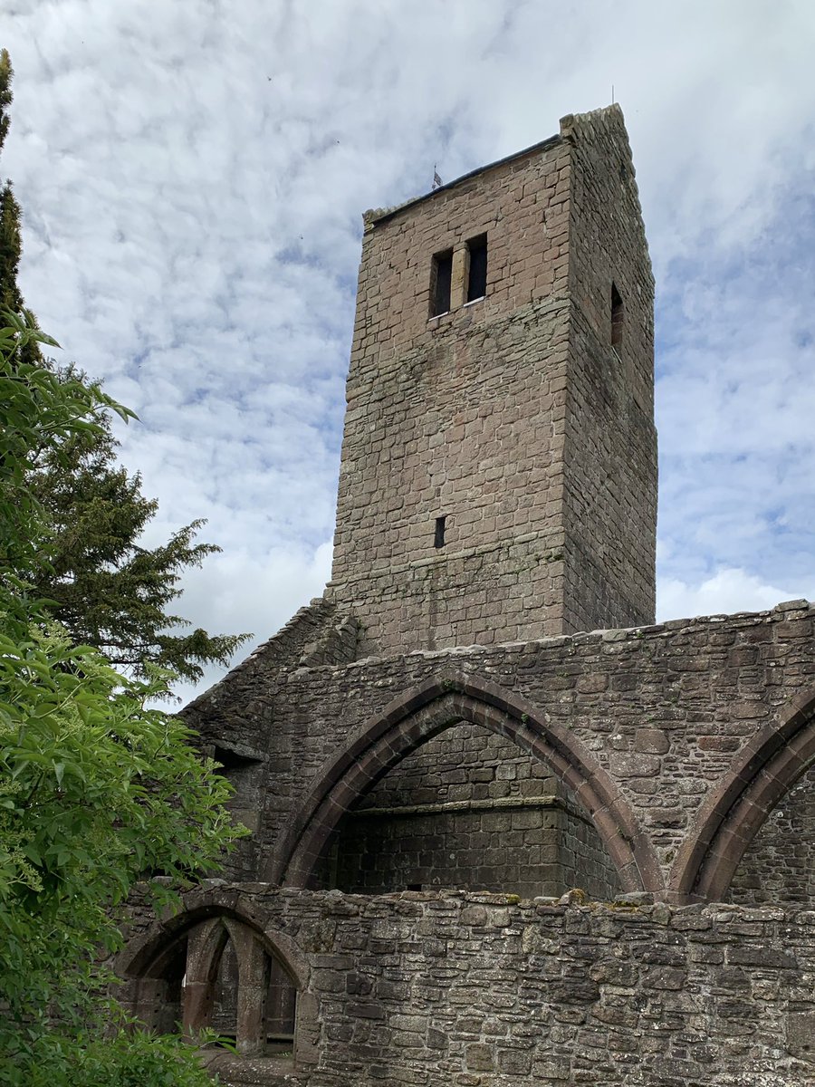 Nancy Johnston tweet media