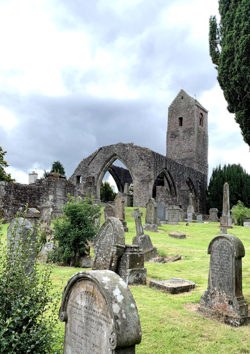 Nancy Johnston tweet media