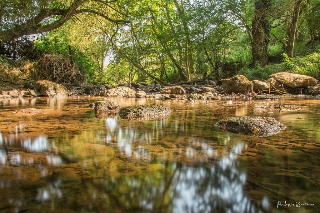 Jett1oeil's tweet photo. Limpide...
•
#guedurezard #laviette #parthenay #letallud #deuxsevres #nature 9232
•
#igersdeuxsevres #igersfrance #kodakmoments #happy_life_captures #still_life_nature #bpa_nature #transfer_visions #nature_perfection #1natureshot #naturehippys_ #expl… https://t.co/xdT5iTREYS https://t.co/I5zxENOYIx