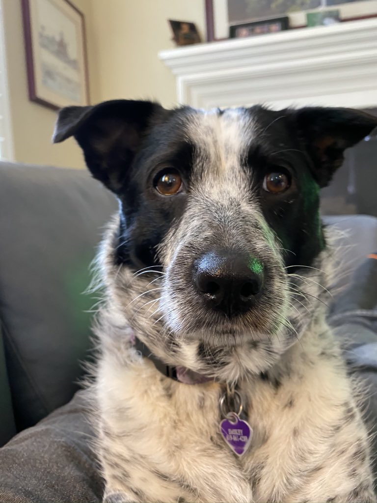 Ted Burgess tweet media