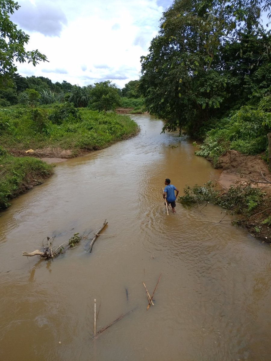 dalseng_m's tweet photo. This is the way to Tikrikilla and to Dadenggre. Under the village Rangsagre, West Garo Hills Meghalaya. The Bridge was breakdown by the flood of rain water. To day we are making temporary bridges from wood and bamboo tree. So we want a bridge immediately. https://t.co/uBGlho4IIE