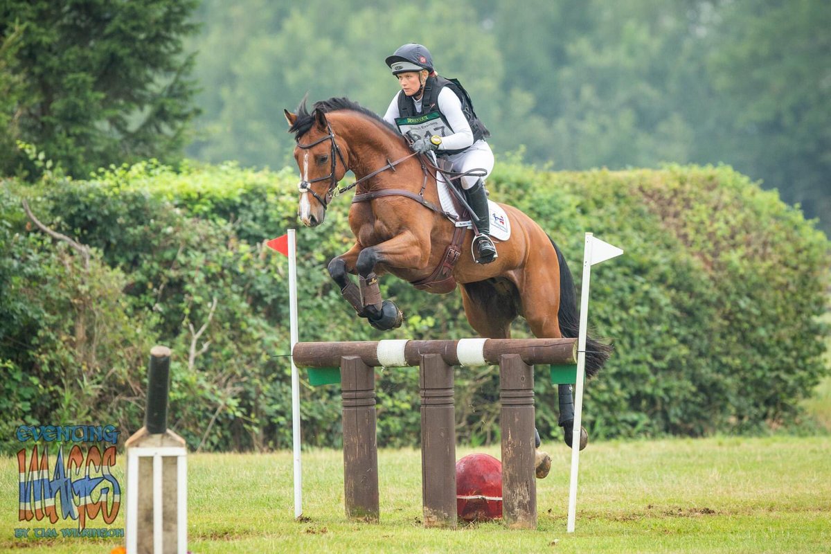 Inchello DHI on his way to winning his intermediate section with a 21 double clear...coolest 7yo🏅 <a href="/DHIeventhorses1/">DHI EVENT HORSES</a> 

📸 thanks to <a href="/tim_wilko/">Eventing Images</a>