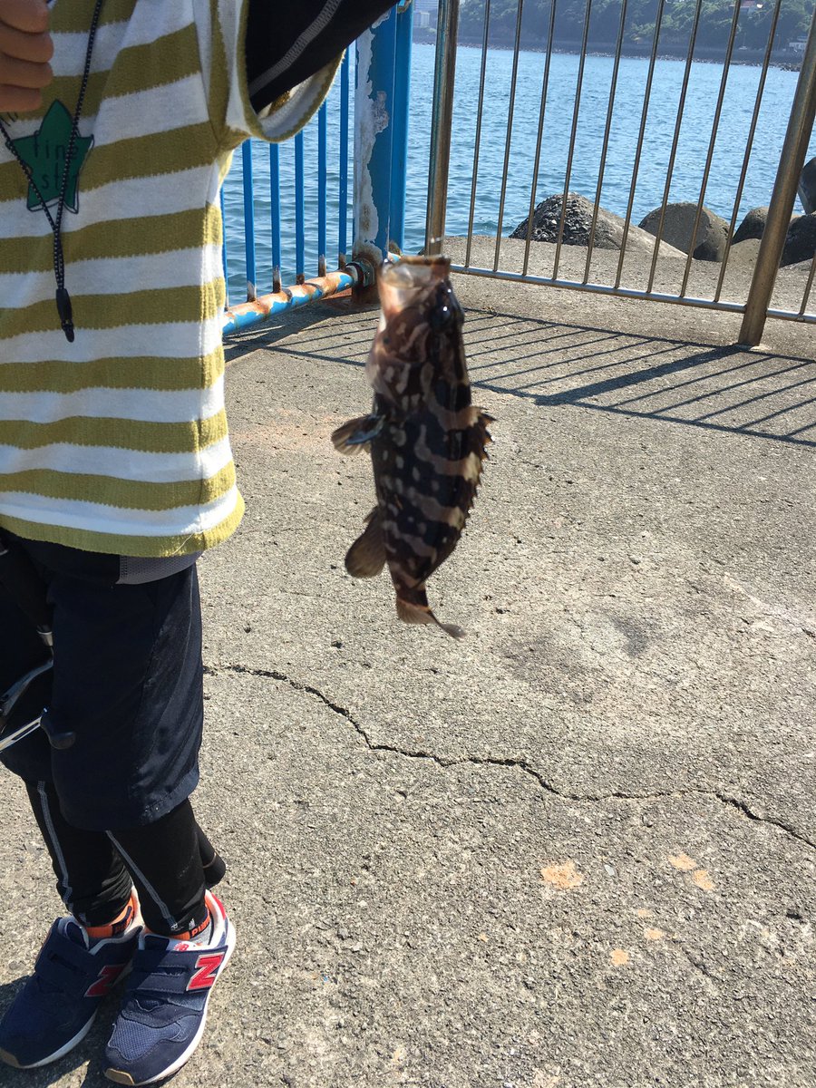 ウクレレとうさん 今日の湯河原は魚種が豊富だつたよ メジナにメッキにネンブツダイにアイゴにハタ系の何か あっ 釣れすぎてメジナの写真を撮り忘れた