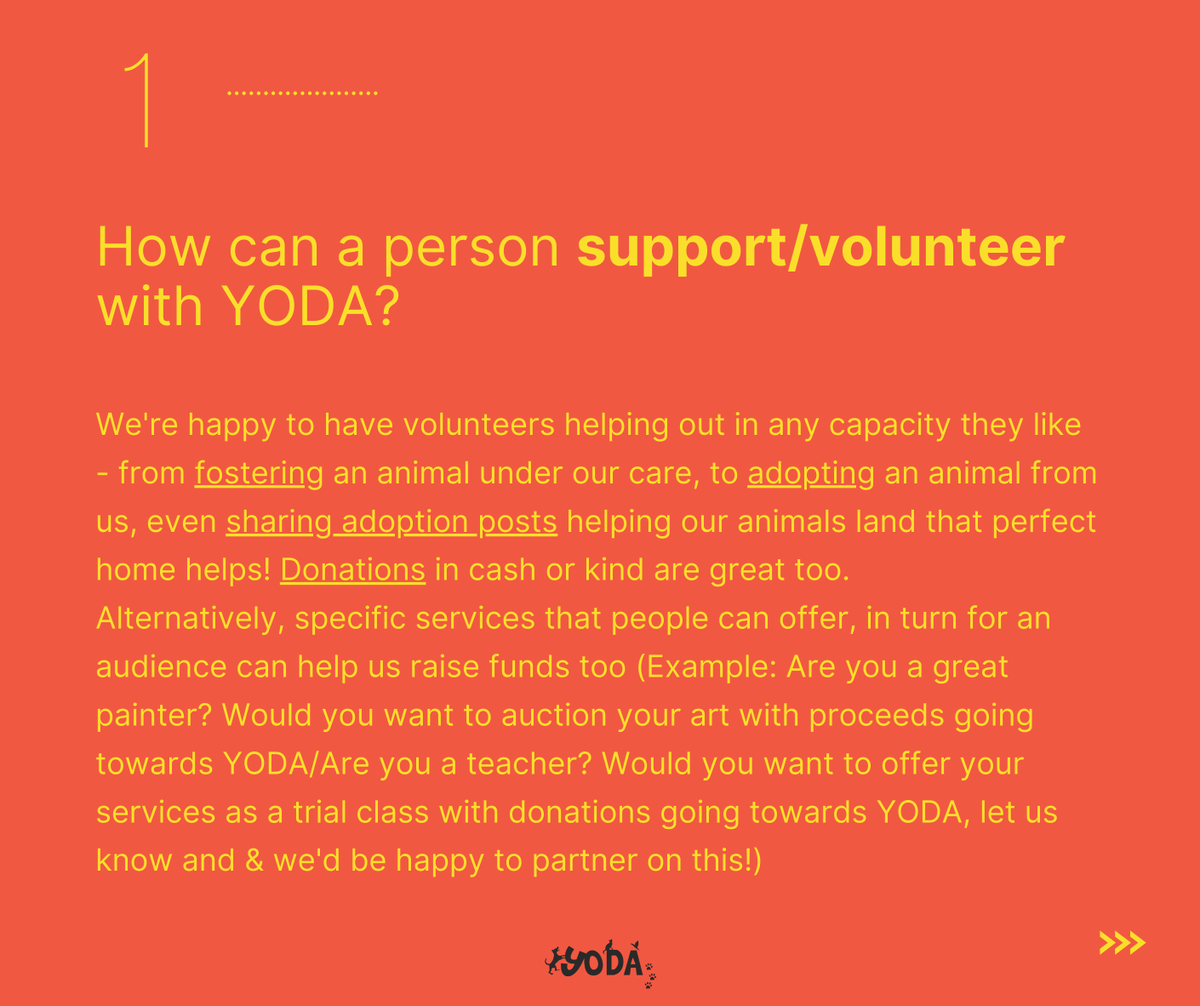 Yodamumbai2's tweet photo. YODA FAQs

We've been receiving a LOT of messages regarding the following questions.

SWIPE TO SEE THE ANSWERS! https://t.co/muK6OTRiyF