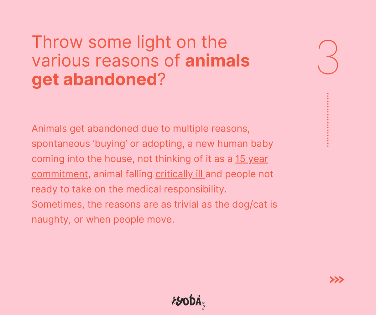 Yodamumbai2's tweet photo. YODA FAQs

We've been receiving a LOT of messages regarding the following questions.

SWIPE TO SEE THE ANSWERS! https://t.co/muK6OTRiyF