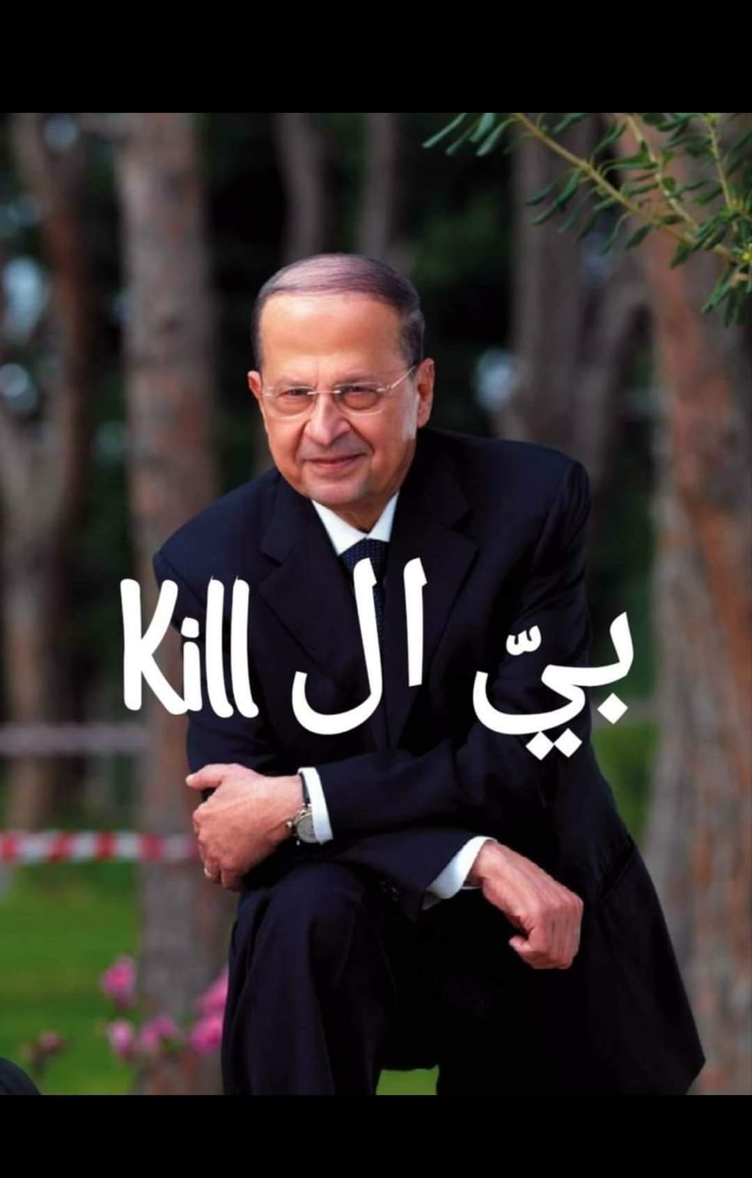 الصورة