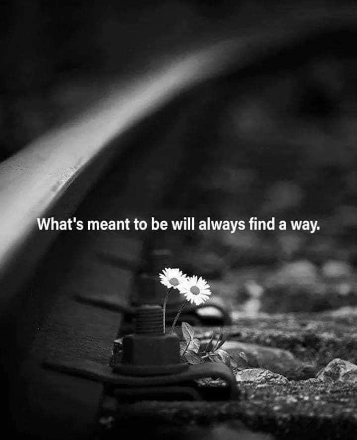 ZebraAltitude's tweet photo. #alwaysbelieve #dreambig #youcandoit Sometimes we are too scared stepping out into the unknown. Our confirtzone is cozy an familiar. It’s up to us taking the first step,to venture out of our comfortzones to follow our dreams. #loveadventure #lovetravel #payitforward @faithnotfear https://t.co/oIPLCk13E8