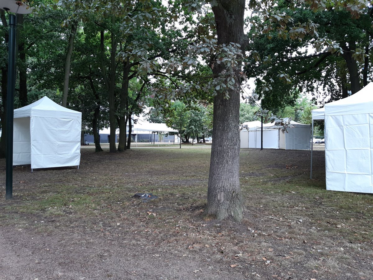 Anne Carli tweet media