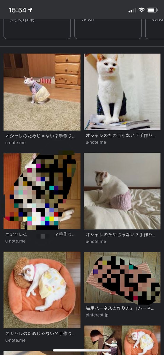 上田あるぷす𓆫pc復活マンしました こーゆう猫の お腹だけを守れるような術後服 スカート の作り方 型紙知ってる方いたらご一報ください 猫 術後服 スカート 手作り ハンドメイド