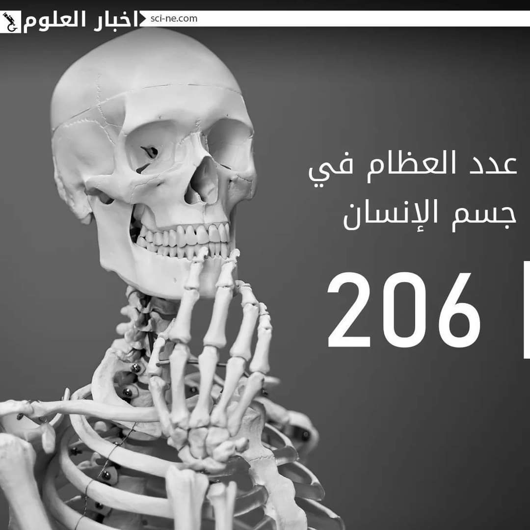 sn_ce4's tweet photo. مجموعة من الحقائق المفاجئة حول "جسم الإنسان"
#Science_News‼️ https://t.co/1dQppdIIgm