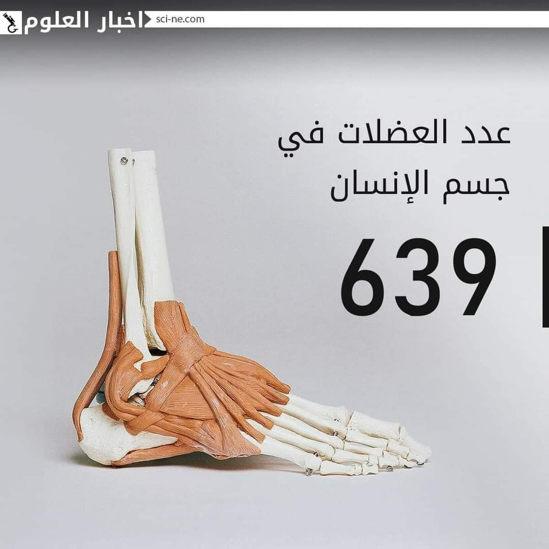 sn_ce4's tweet photo. مجموعة من الحقائق المفاجئة حول "جسم الإنسان"
#Science_News‼️ https://t.co/1dQppdIIgm