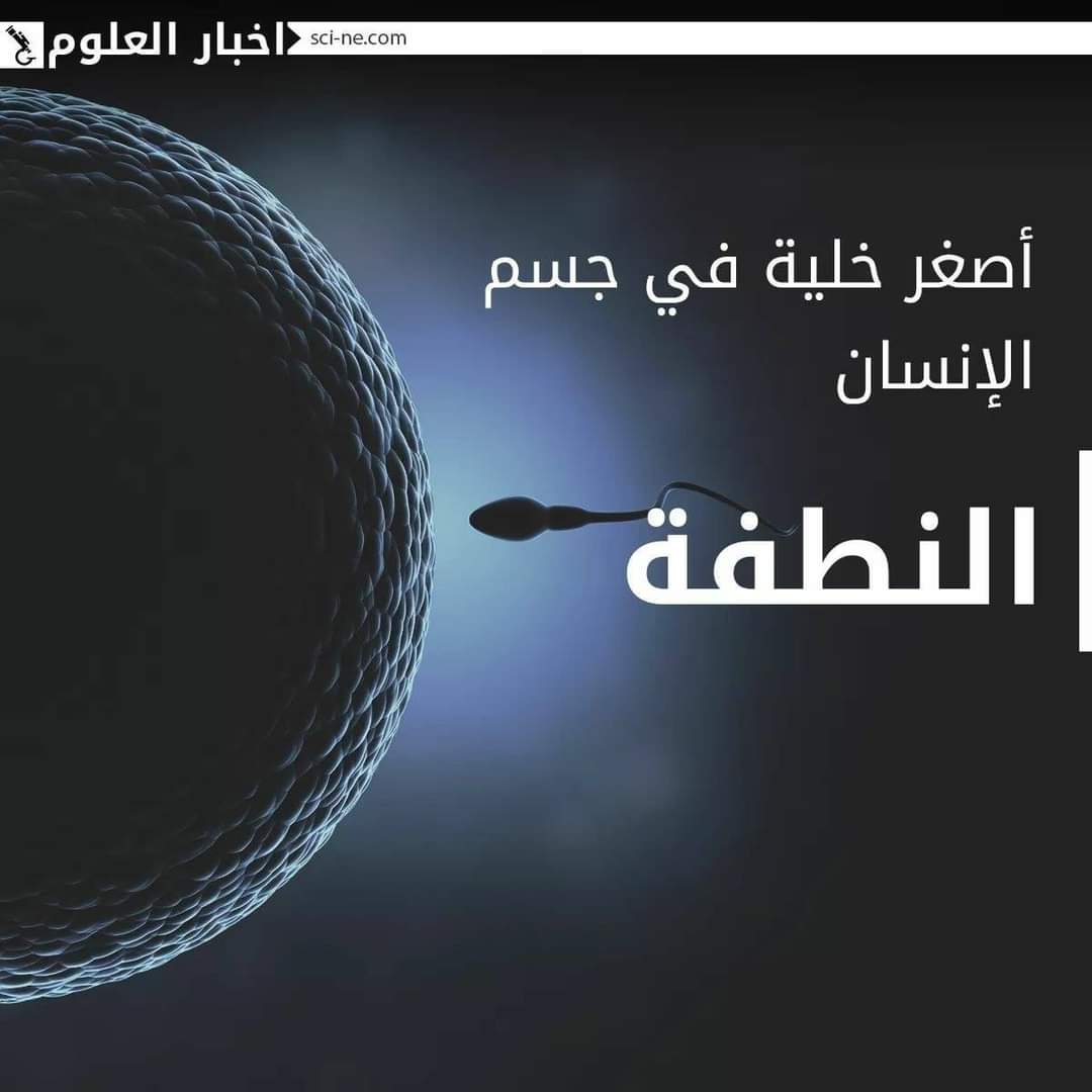sn_ce4's tweet photo. مجموعة من الحقائق المفاجئة حول "جسم الإنسان"
#Science_News‼️ https://t.co/1dQppdIIgm