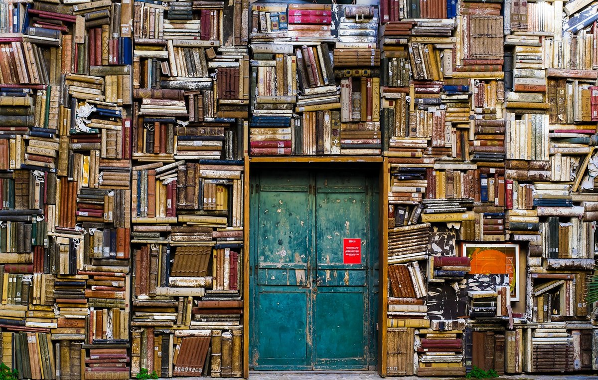 RGS_IBGschools's tweet photo. Looking for a Saturday morning book recommendation? Try our latest 3 suggestions; Shadowplay by @Itwitius, Motherwell by Deborah Orr and Wanderland by @Jini_Reddy — podcasts to follow from Tim Marshall and Jini Reddy! https://t.co/Dg4JQ5IfUZ https://t.co/LiyFXkFPFv