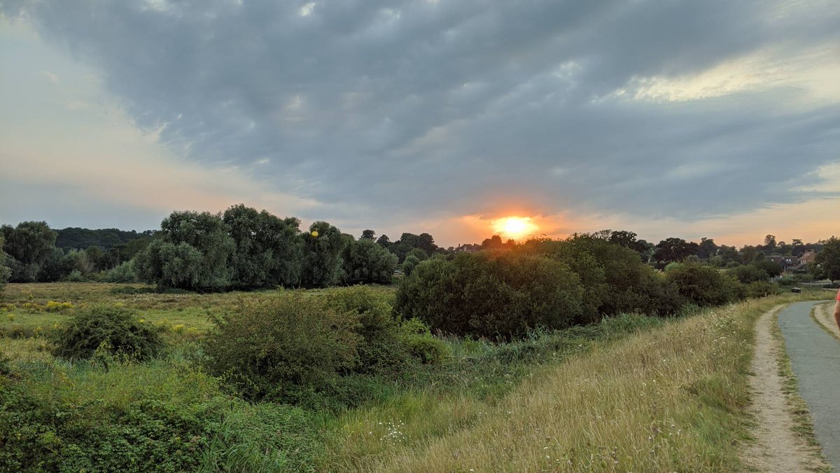 DouseDominic's tweet photo. Sun seting in a firery ball over the trees
#lockdownview https://t.co/nlx5qb9GoL