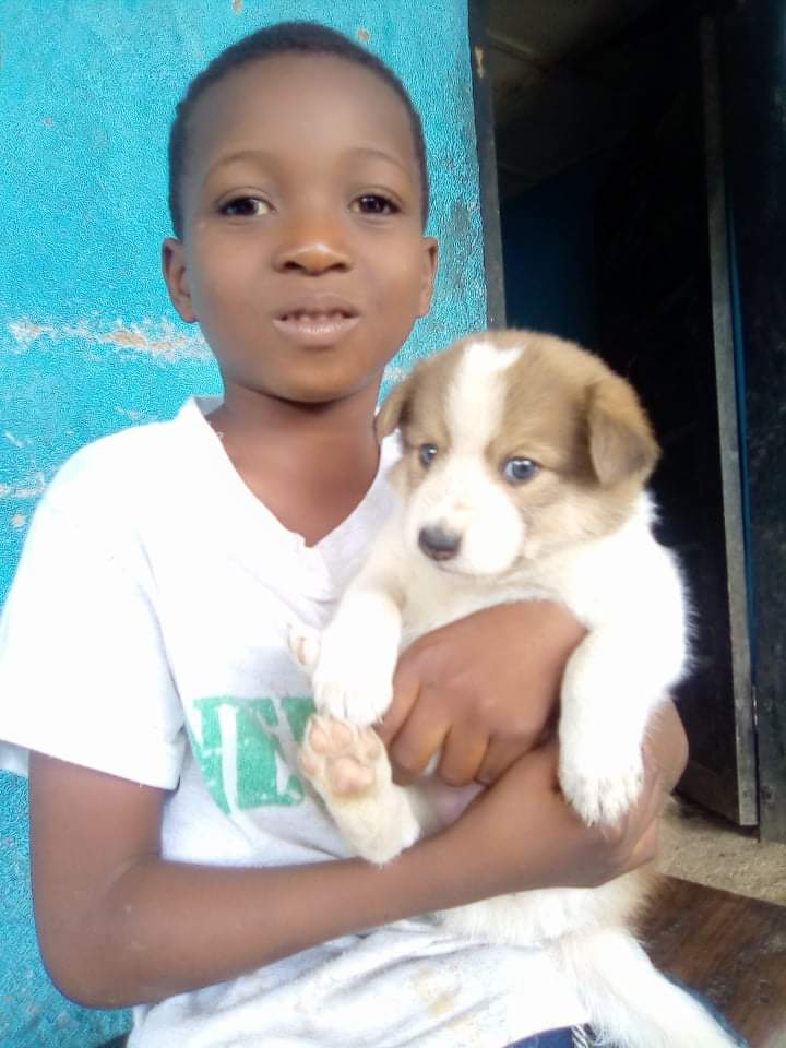 LiberiaAnimal's tweet photo. Varney is a member of our Animal Kindness Club in his school. He and his pet friend "Shepherd " are enjoying the weekend together.
#HumaneEdcation #Education #Kindness #Compassion #AnimalsMatter #Animals #StopAnimalAbuse #HelpAnimals #AnimalsNeedHealthcare #OneHealth #OneWelfare https://t.co/3c1rq27GbR