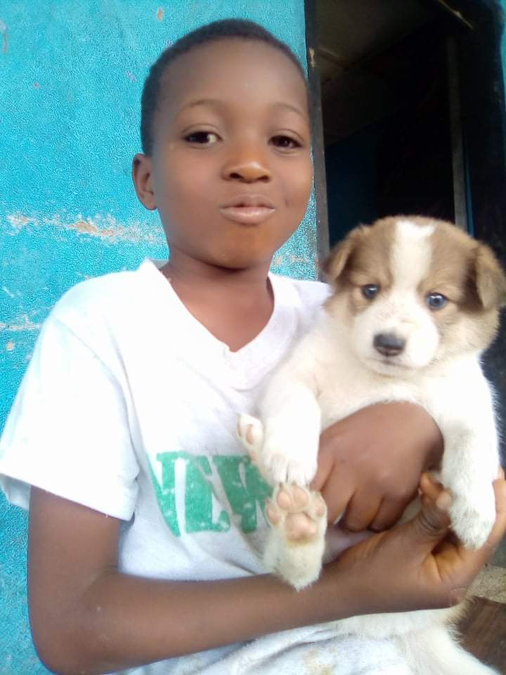 LiberiaAnimal's tweet photo. Varney is a member of our Animal Kindness Club in his school. He and his pet friend "Shepherd " are enjoying the weekend together.
#HumaneEdcation #Education #Kindness #Compassion #AnimalsMatter #Animals #StopAnimalAbuse #HelpAnimals #AnimalsNeedHealthcare #OneHealth #OneWelfare https://t.co/3c1rq27GbR