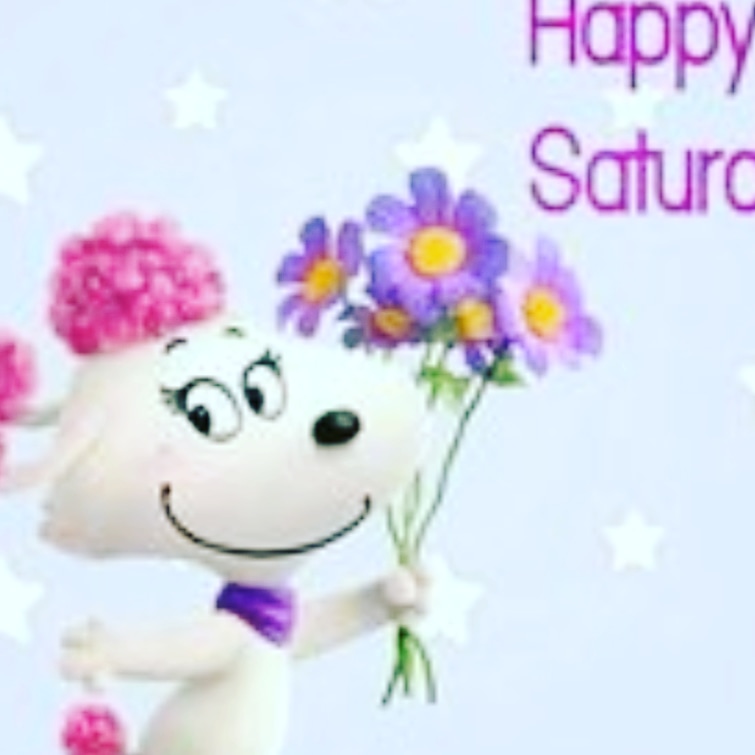 Healing Scent Oils & Accessories (@oilsscent) on Twitter photo 