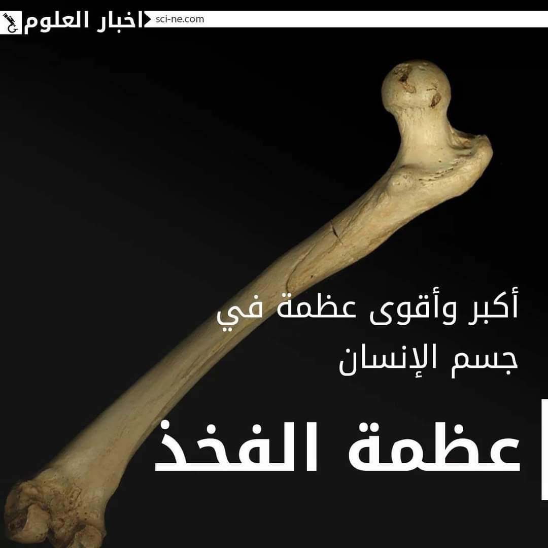 sn_ce4's tweet photo. مجموعة من الحقائق المفاجئة حول "جسم الإنسان"
#Science_News‼️ https://t.co/aKAK5qLJV0