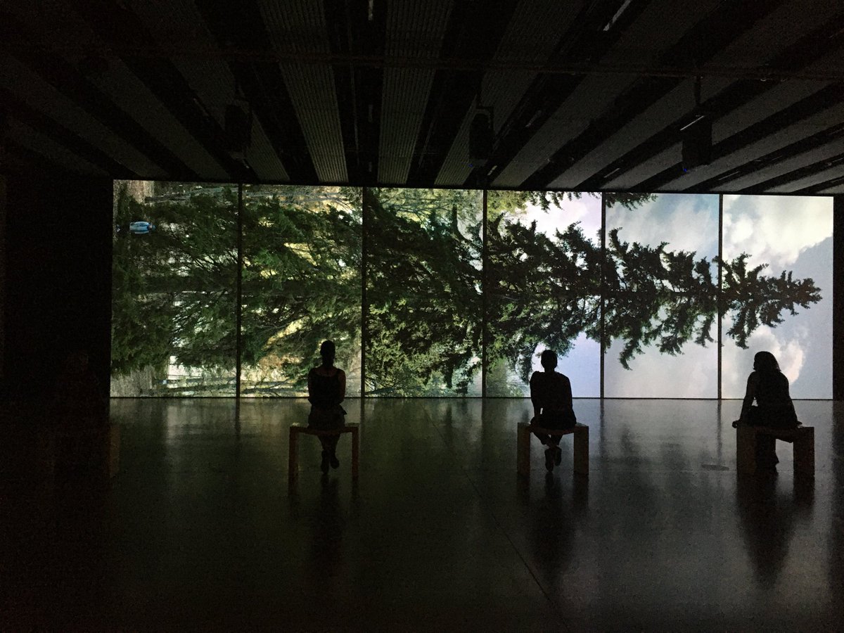 CPRELondon's tweet image. Just one striking image from the fabulous  #AmongTheTrees exhibition ⁦@haywardgallery⁩ now - a must see ⁦@UrbanTreeFest⁩ ⁦@TheStreetTree⁩ ⁦@TiCLme⁩ ⁦@museumofwalking⁩ ⁦@pfiennes⁩ ⁦@Blak_Outside⁩ #moruslondonium ⁦@GregPackman⁩