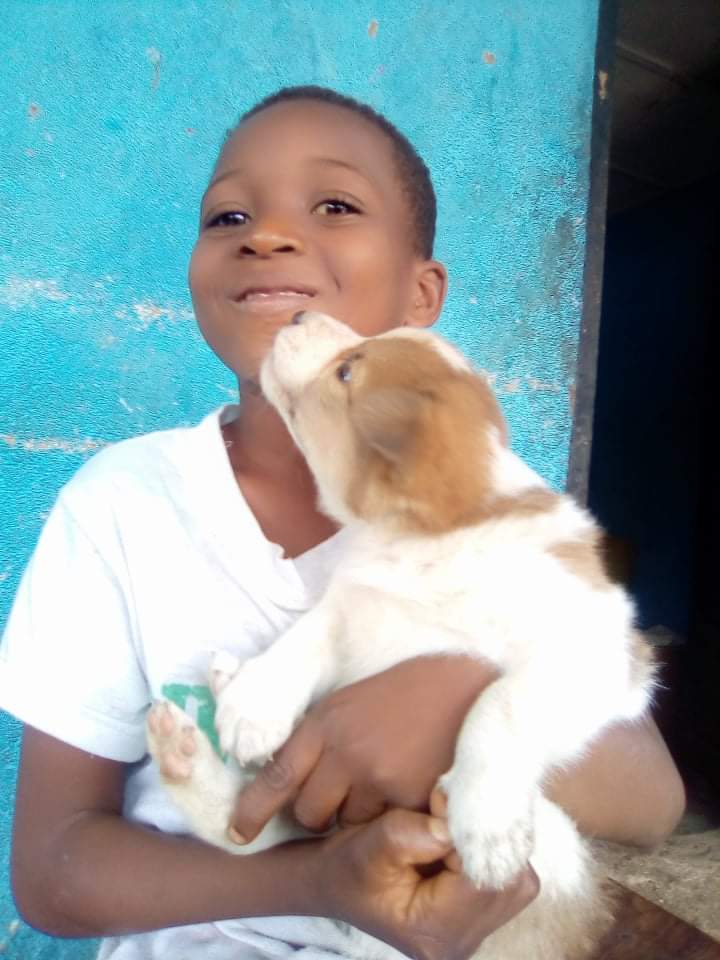 LiberiaAnimal's tweet photo. Varney is a member of our Animal Kindness Club in his school. He and his pet friend "Shepherd " are enjoying the weekend together.
#HumaneEdcation #Education #Kindness #Compassion #AnimalsMatter #Animals #StopAnimalAbuse #HelpAnimals #AnimalsNeedHealthcare #OneHealth #OneWelfare https://t.co/3c1rq27GbR