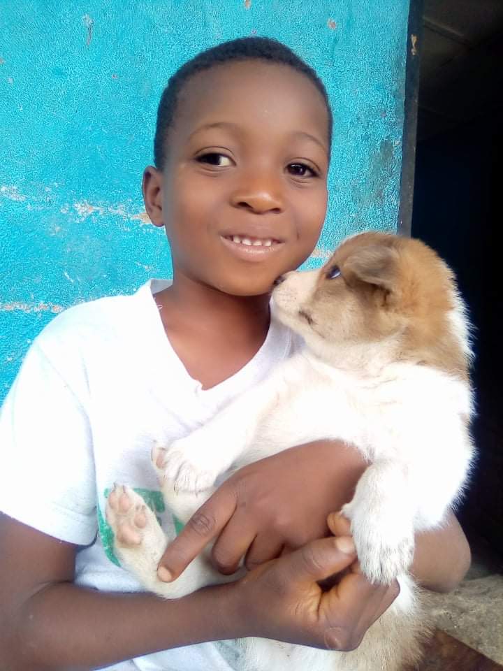 LiberiaAnimal's tweet photo. Varney is a member of our Animal Kindness Club in his school. He and his pet friend "Shepherd " are enjoying the weekend together.
#HumaneEdcation #Education #Kindness #Compassion #AnimalsMatter #Animals #StopAnimalAbuse #HelpAnimals #AnimalsNeedHealthcare #OneHealth #OneWelfare https://t.co/3c1rq27GbR