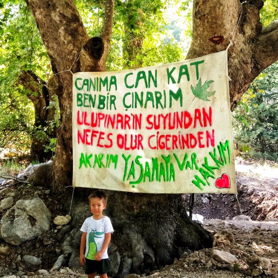 ChangeTR's tweet image. #Antalya’da asırlık çınarlar karayoluna kurban ediliyor

Kemer-Kumluca karayolu üzerindeki 200 yıllık çınar ağaçlarının kesileceği duyumu üzerine halk günlerdir nöbet tutuyor. Çınarların yaşamaya devam etmesi için Ulupınar Köyü halkına sen de destek ol: change.org/UluCinarlarYas…