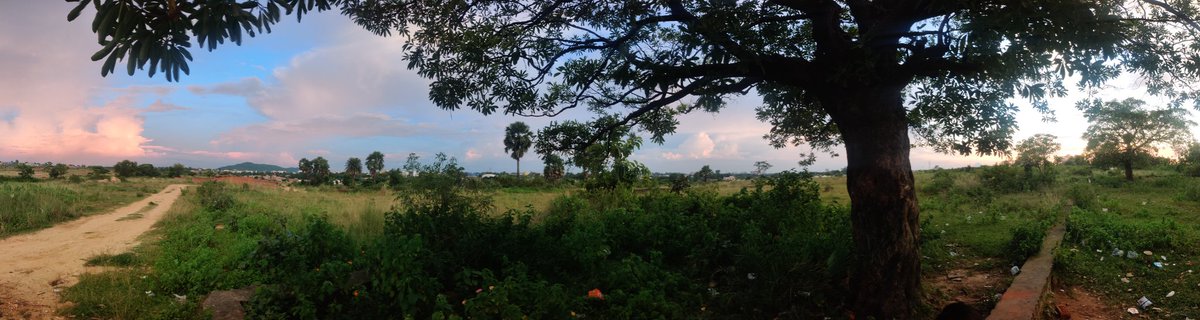 AjaySisodiyajr's tweet photo. Shot On OnePlus 7 Panormic, we call it Mohabbat ki Jhadi. 
#OnePlusindia #oneplusshots #Nature #panormic #oneplus7 #IndependenceDay https://t.co/9Im8vKBNxt