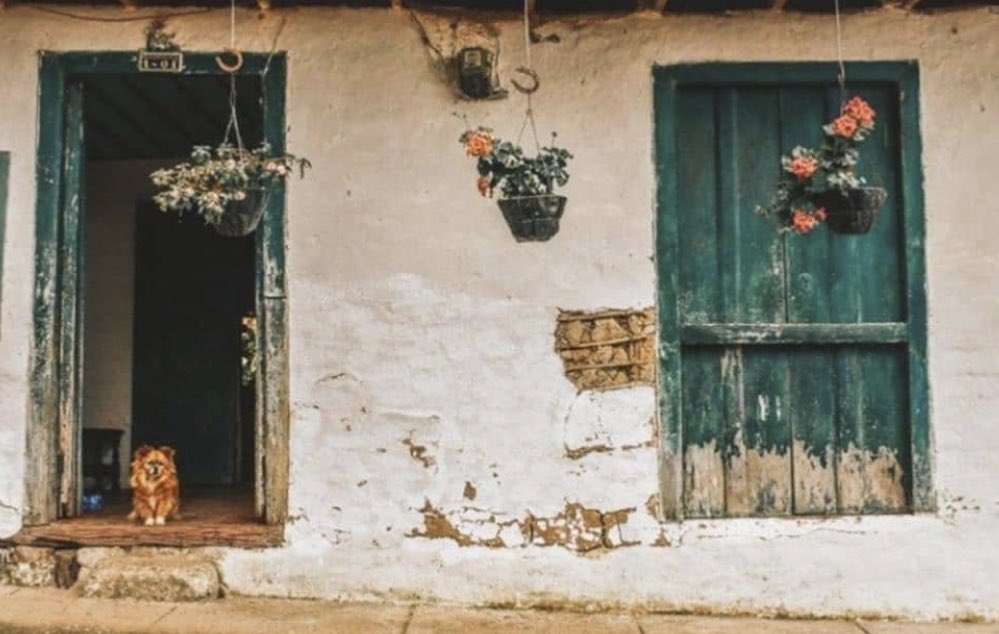 “Umudun yorulduğu yerlerde mucizeler çiçek açar unuttun mu?”