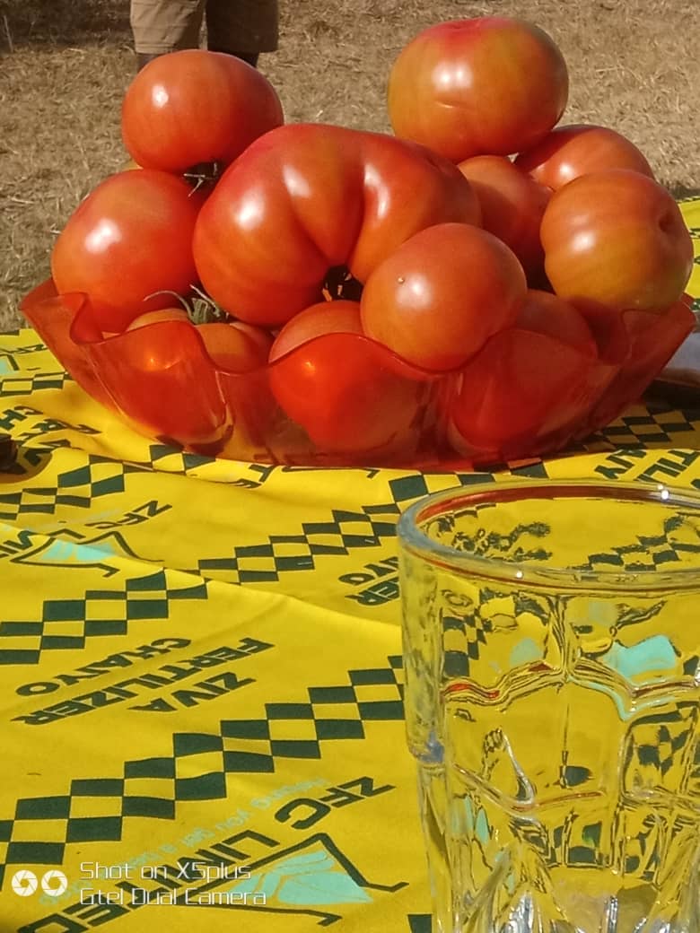 I am fixated here.
The quality, the size and how they look delicious. 
# Quality Enhancement 
# ZFC Limited 
<a href="/ZivanayiG/">Zivanayi Gonzo</a> <a href="/Moreblessingmuv/">Moreblessing Muvirimi</a> 
<a href="/NcubeSimbiso/">Simbiso Ncube Chapfika</a> <a href="/CMunhutu/">Dzidzai Caleb Munhutu</a> <a href="/jtchamuka/">Justice T. Chamuka</a>