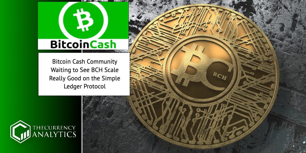 TheCurrencyA's tweet photo. Bitcoin Cash Community Waiting to See BCH Scale Really Good on the Simple Ledger Protocol - Link to Post: https://t.co/Q4llZvenwZ - Tags: #BCHnews #bitcoincash #ledgerprotocol #SPL #simpleLedgerProtocol .@bitcoincash .@sydneyifergan .@rogerkver https://t.co/BA01P2HLQQ