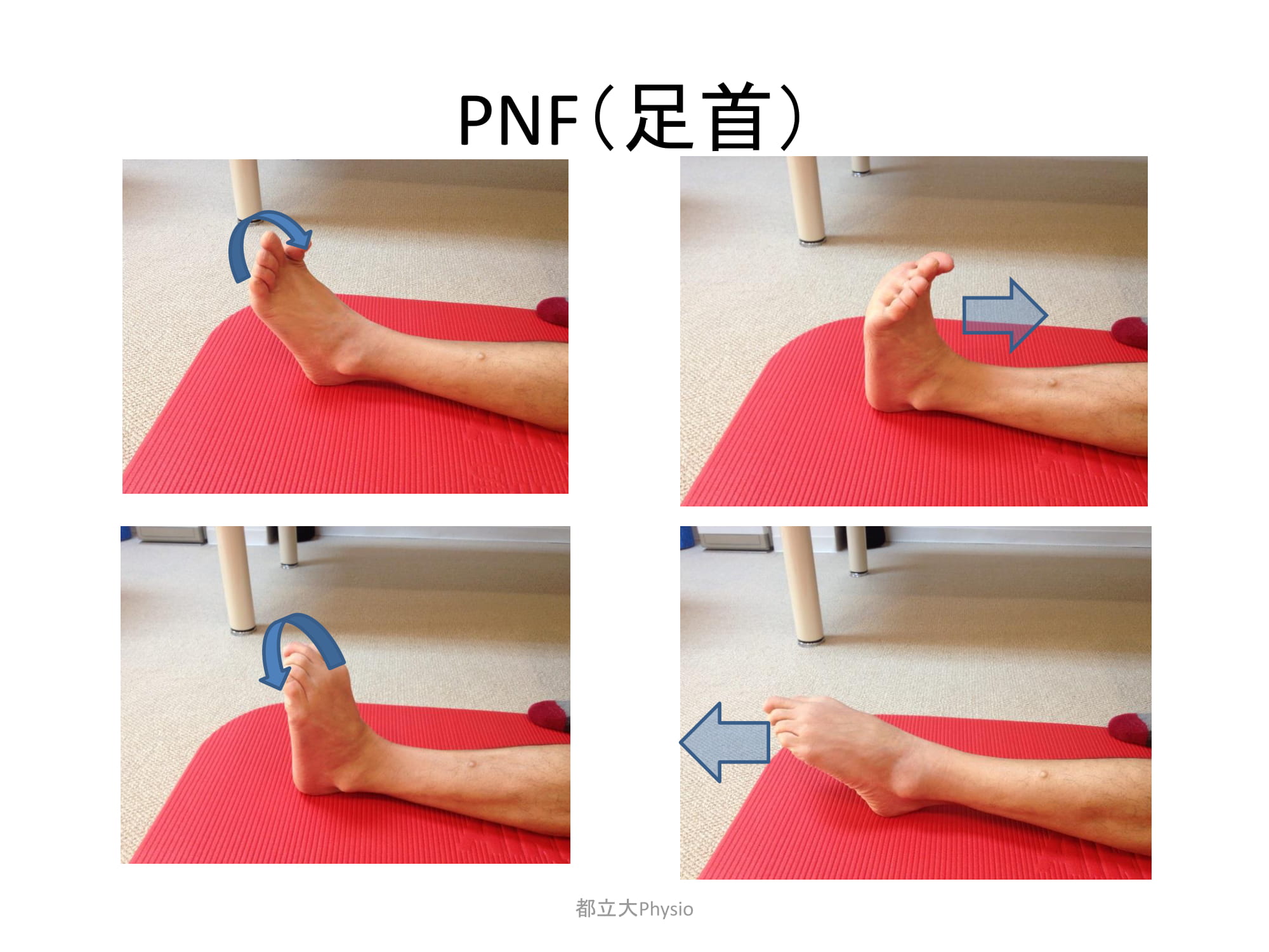 都立大フィジオケア コンディショニング 足関節 足関節捻挫後のリハビリ そして予防として 足曲げ伸ばし 内外への動きは大事ですので 是非行ってください 膝や股関節は動かさず足首だけで行うようにしましょう T Co Temszf18yw Twitter