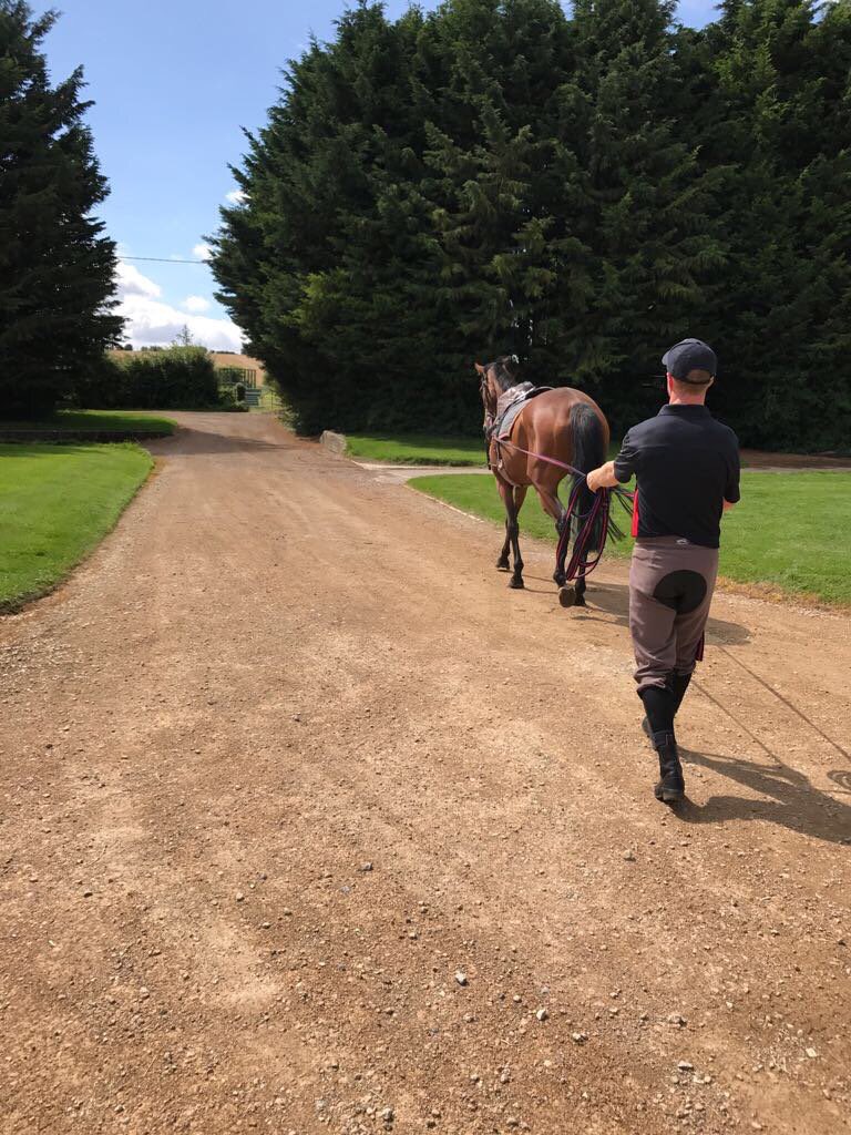 MarkGrantRacing's tweet photo. Congratulations to all the buyers from Goffs Land Rover Sale! Please remember #MarkGrantRacing for all your breaking requirements! #Breakingwinners #nhracing #horseracing https://t.co/uphcFT9Tv3