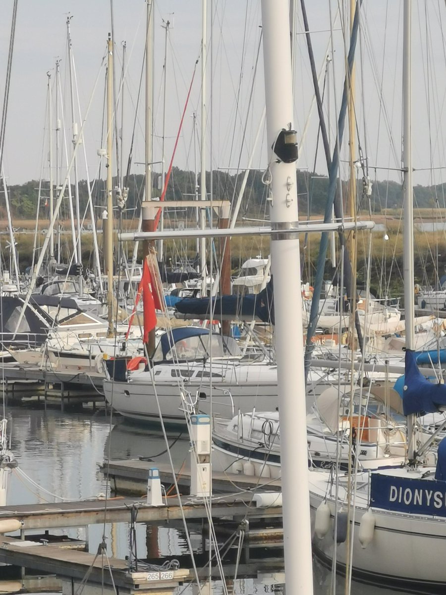 Sirius in at syh Levington Suffolk #hamiltonsailing #sailing #boating#Yacht #hamiltonsailing #yachts #picoftheday