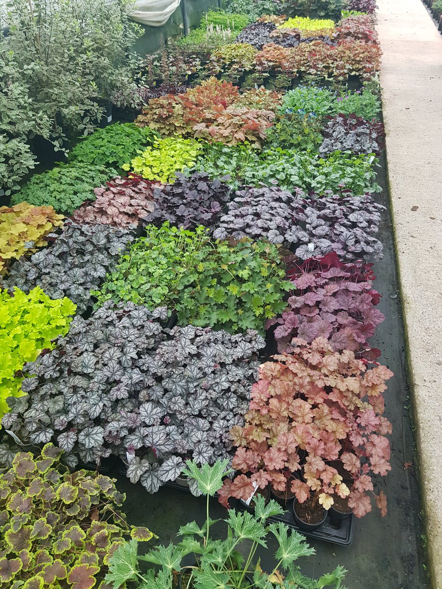 Oh dear, we seem to have a huge potting week ahead of us....thank goodness the weather has cooled down #autumnplants #spring2021plants