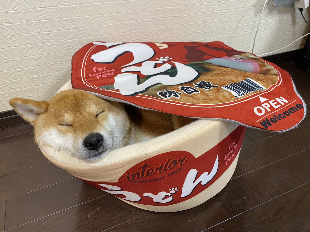 挟まったわんこ ヘソ天わんこ 犬部ベストショット とても味わい深い顔やポーズが集まったので ぜひ癒されてほしい Togetter 挟まったわんこ ヘソ天わんこ 犬部ベストショット とても味わい深い顔やポーズが集まったので ぜひ癒されてほしい Togetter