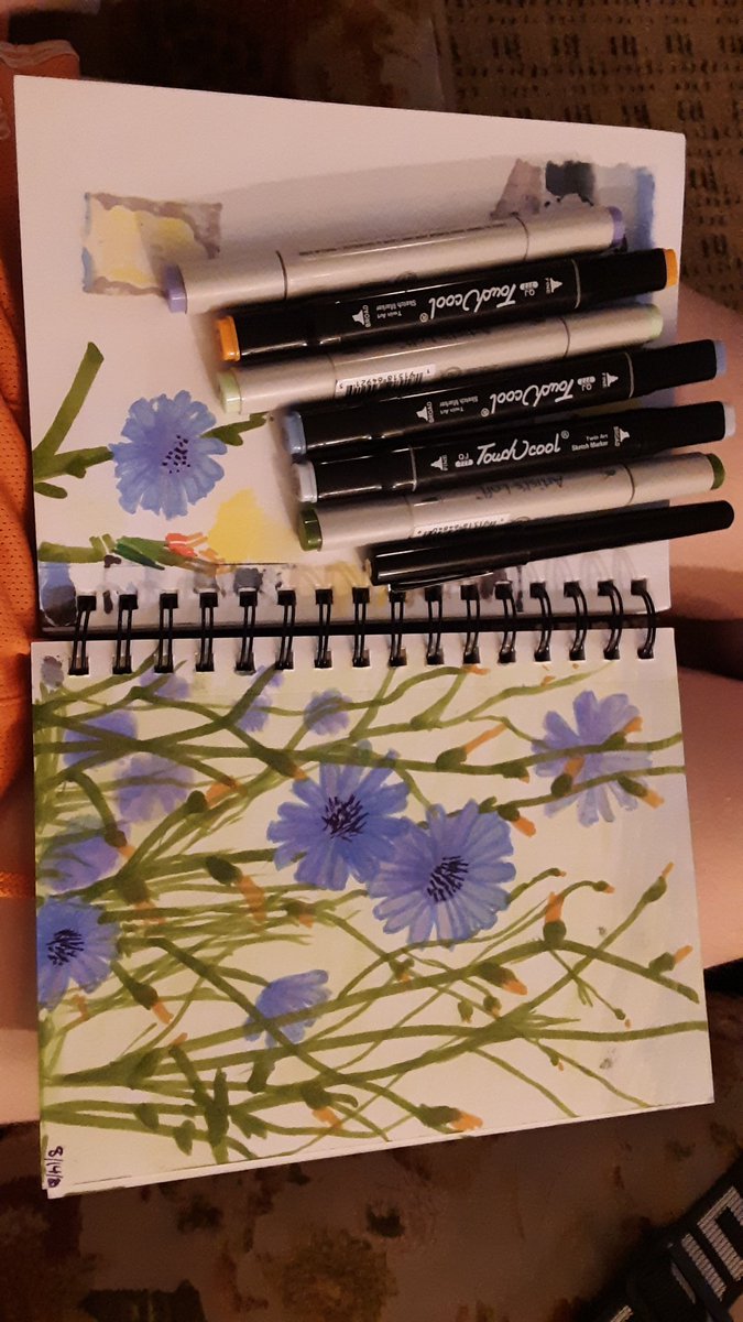 pineconepotato's tweet image. I freaking love chickory flowers
