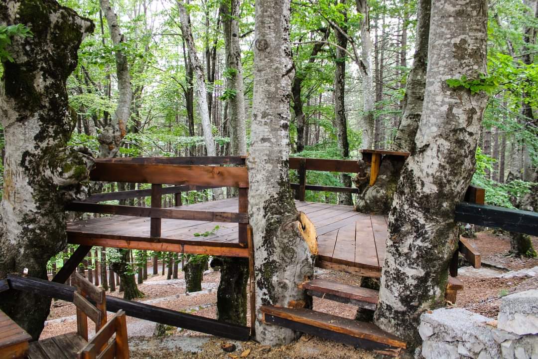FlockaHostel's tweet photo. Nature never goes out of style. https://t.co/aZO3AuCSbv