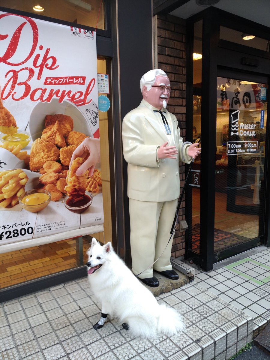 赤りんご A Twitteren 帰宅途中に駅のケンタッキー前を通ったら カーネルサンダースの一部だと思っていた白いフワフワが突然動き出して死ぬほどびっくりした 生きとるやんけ 赤りんご A Twitteren 帰宅途中に駅のケンタッキー前を通ったら カーネルサンダースの一部だと思っていた白いフワフワが突然動き出して死ぬほどびっくりした 生きとるやんけ