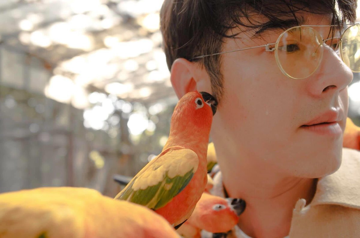 Mario Maurer tweet media