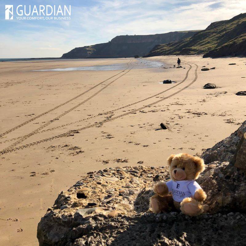 Our Guardian team are certainly looking forward to the year ahead! We are still setting big goals for the rest of the year and we hope you are too! 💪 In the meantime, we hope you are all safe and healthy! 💙

guardian.uk.com