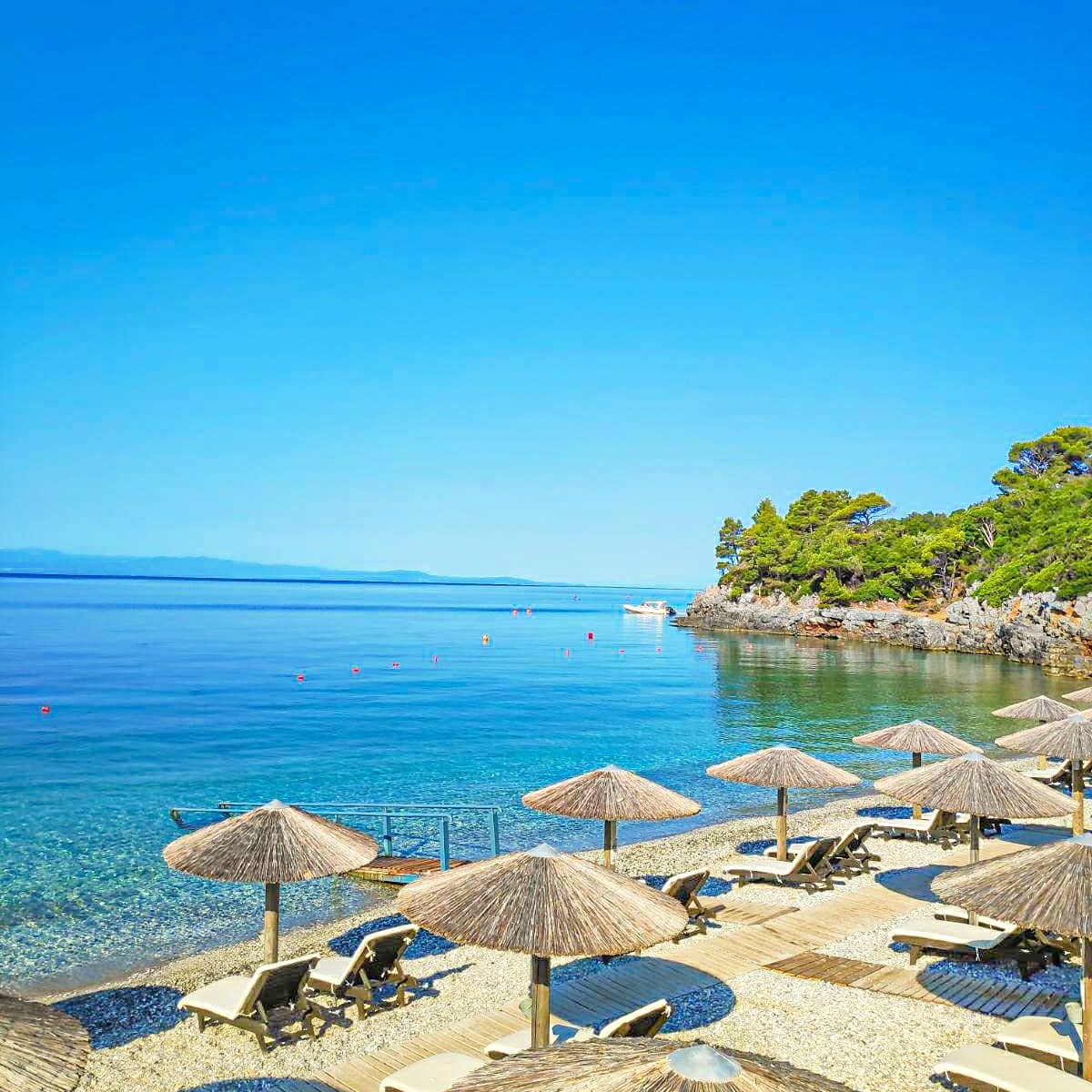 AdrinaHotels's tweet photo. Χρόνια πολλά σε όλους, με υγεία!
Great Day today! We celebrate the Dormition of Virgin Mary.
https://t.co/m7OmNbZATJ

#AdrinaBeachHotel #AdrinaResortandSpa #AdrinaHotels #AdrinaHotelsSkopelos #skopelosisland #ahs #skopelos #skopeloshotels #adrinarestaurants #ξενοδοχείααντρίνα https://t.co/BH4AwnKugB