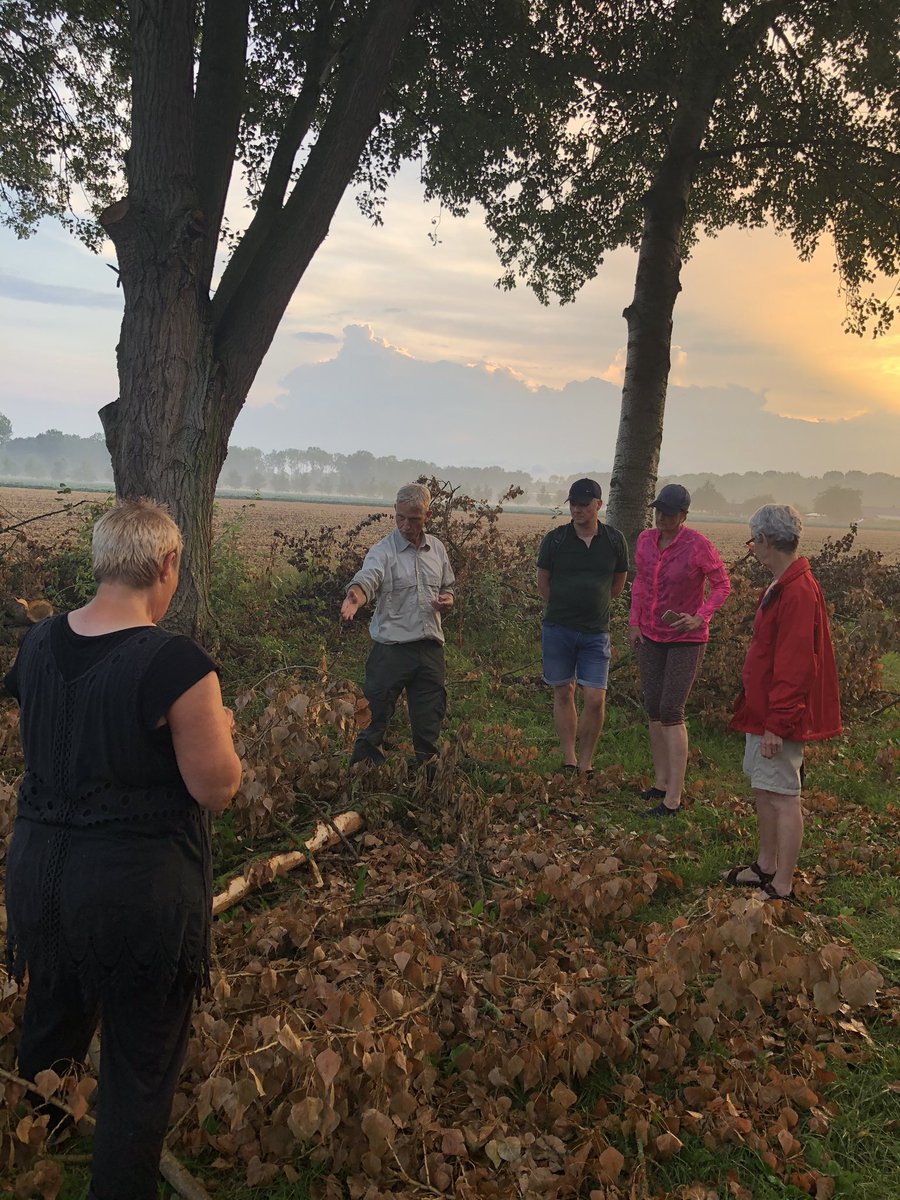 BAlmekinders's tweet photo. #Degrotevijf #beversafari liep iets anders dan gepland vanwege #onweersbuien dus te voet 🦶 verder vanwege de #veiligheid! Wel een geslaagde #excursie: #beversporen #ijsvogel #fuut #wildeend 🦆 #zwanen 🦢 @staatsbosbeheer @BAlmekinders @Boswachter_Rob @annekeflowers https://t.co/BGxxSxJ586