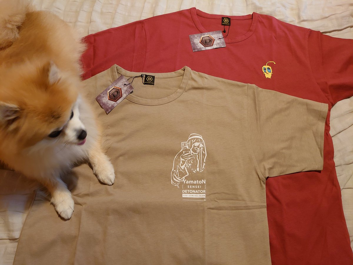 china_mo_om's tweet photo. 密かに推してるDTNのヤマトンさんデザインのTシャツが届きました!写真撮るために並べてたらヘイスケに踏み荒らされたので伏せをさせて大人しく…もしていないか。今晩の散歩にさっそく着ていくぞ! #DTNF #YamatoN https://t.co/4HH2Tvj1tE