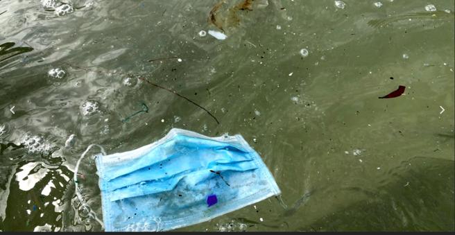policia's tweet photo. Es SU hábitat, SU casa, SU hogar. 

No te creas con el derecho de arrebatárselo. 

La basura que dejas en la #playa pone en peligro la vida de muchos #animales. 🐢🐠🐬🦀

Sé RESPONSABLE. https://t.co/sfx2hyv0gN