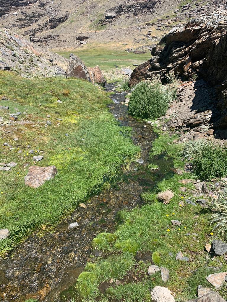 SNevada_Parque's tweet photo. Feliz fin de semana amig@s de Sierra Nevada. Que la montaña deje huella en ti, pero no dejes tu huella en la montaña. https://t.co/7yYDB83EkC
